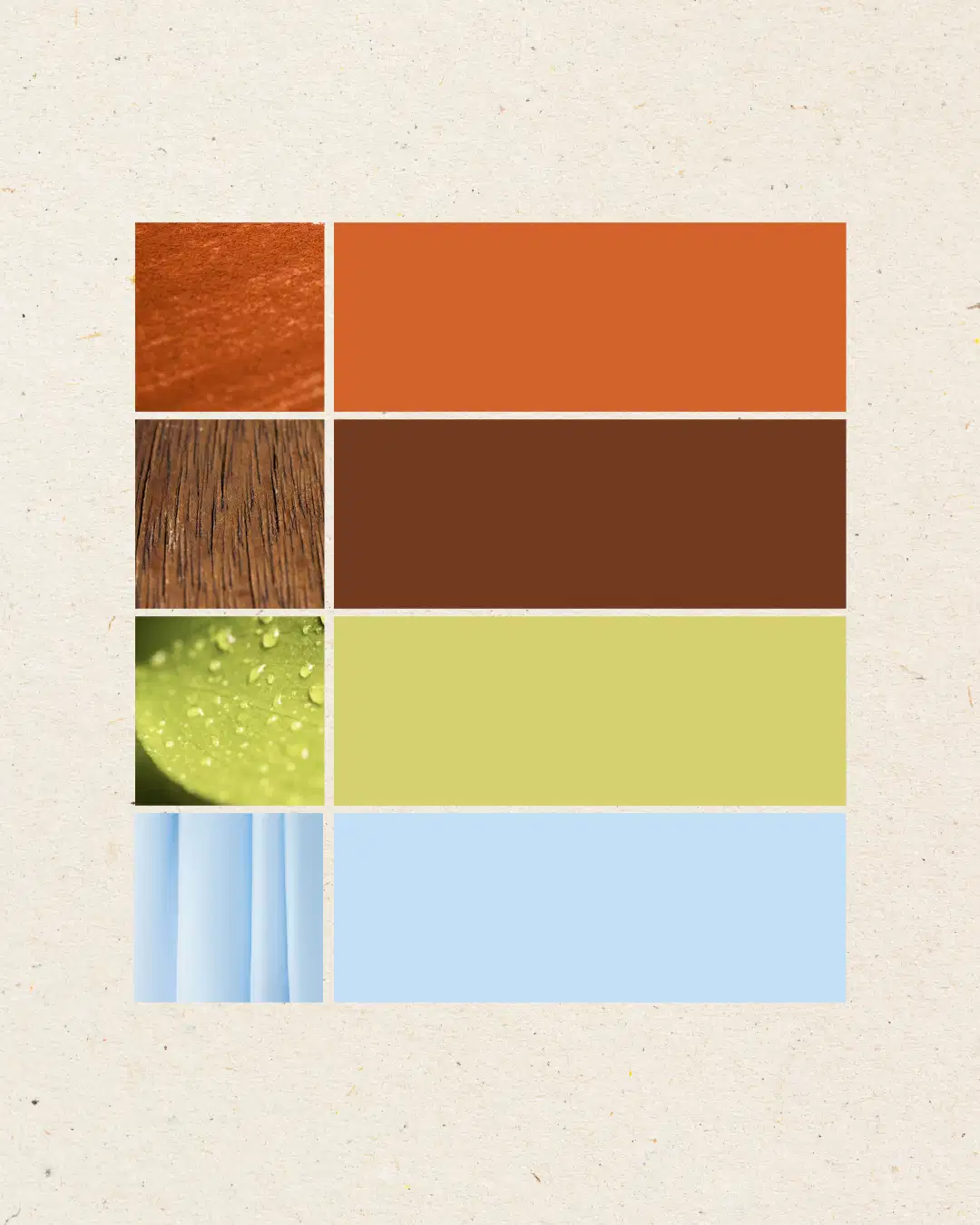 Palette de couleurs pour une identité visuelle